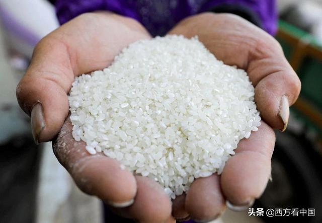 亚洲大米针对动物饲料的强劲需求引发食品供应担忧