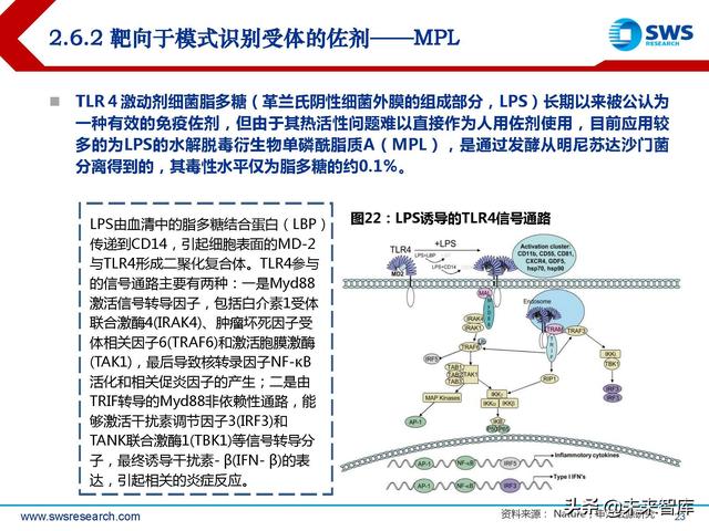 疫苗佐剂行业深度报告：疫苗脱颖而出的秘密武器