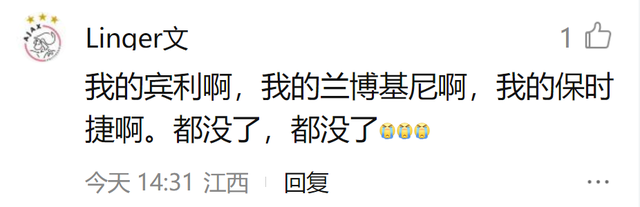 大众集团起火货轮终沉没！保险公司心态崩了，最惨的还是兰博基尼