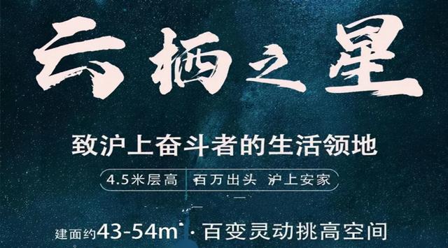 浦东不限购精装loft公寓【云栖之星】（4.5米挑高）建面约43-54m²