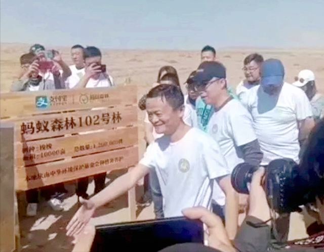 2019年，马云承诺每年在沙漠种植1亿棵树，如今成啥样了？