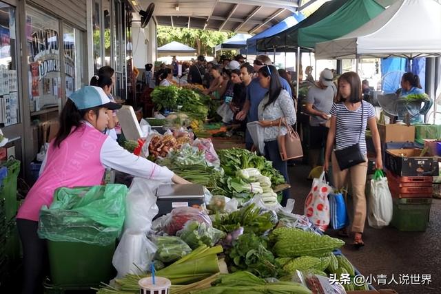 与鳄鱼共存的澳大利亚北部城市：达尔文