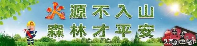 请扩散！南充10名密接轨迹公布，涉及多地！轨迹重合者立即报告→