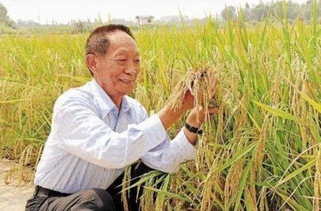 她接生袁隆平，钟南山叫她姑婆，终身未嫁却是“万婴之母”......