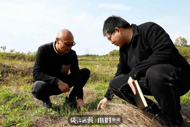 从海归到新农人，这个“80后”在建德高山上建起创业“根据地”