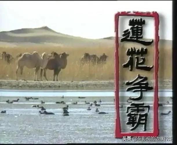 《莲花争霸》，神一样的“白少爷”，当年我确实真情实感地爱过他