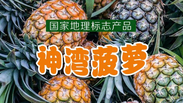 吃「神湾菠萝」，确实不用泡盐水