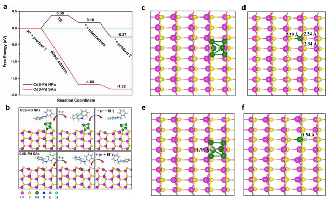 邹志刚院士团队ACS Catalysis: 高效可见光催化C-N偶联反应新思路