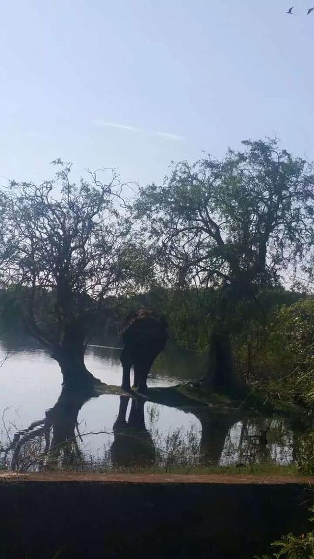 外贸人走过的路，是一条你没见过的路