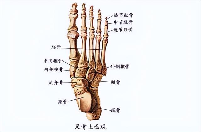 黄种人平均智商比别人高？想想我们的专属优势，不少于白种人