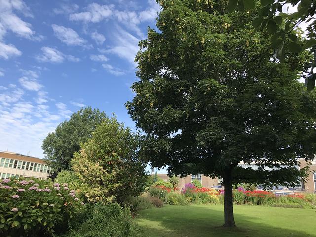 两年制的新加坡初级学院，都有哪些途径可以申请？