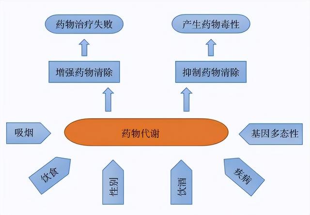 黄种人平均智商比别人高？想想我们的专属优势，不少于白种人