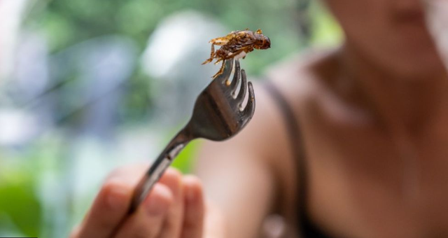 实验室培育的肉类和昆虫“对地球和健康有益”