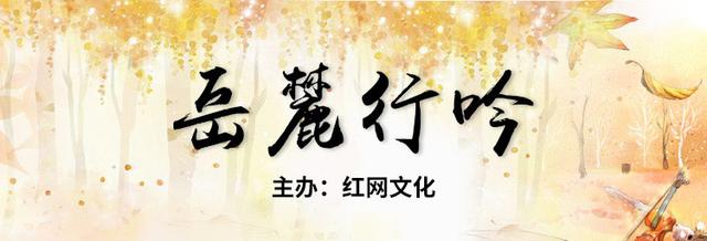 剧评丨杨柳湾：没妈的孩子也是宝