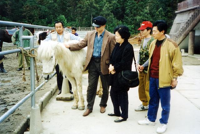 《西游记》幕后：杨洁被唐僧师徒踢出剧组，白龙马惨死荒郊没人知