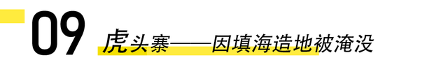 厦门15个与“虎”相关的冷知识