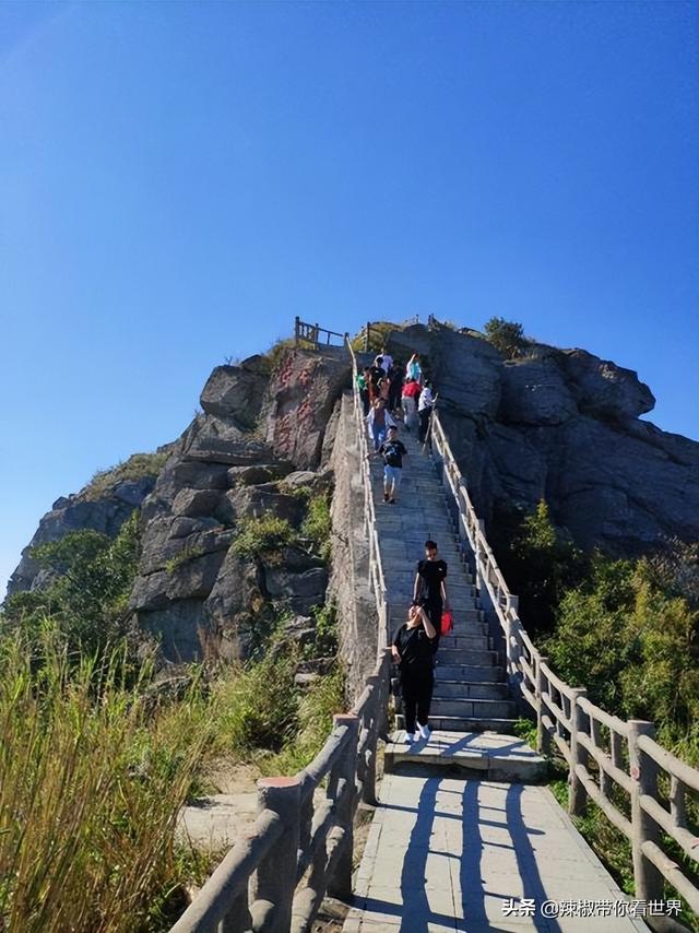 海岸线：全国最绿的城市东莞被称为世界工厂——世界因你而美