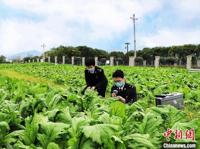 重庆：RCEP助力榨菜、化工品出口