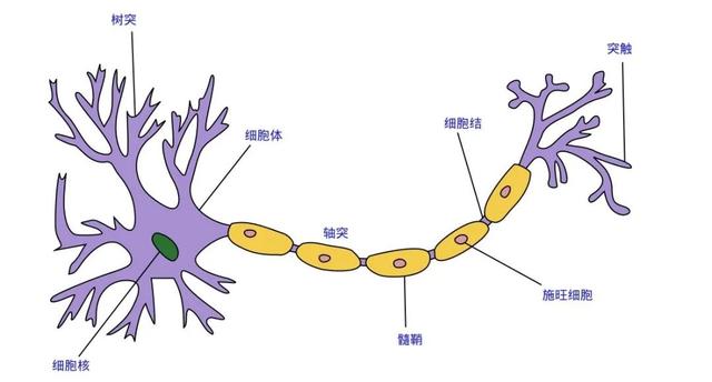 《世界十大学习方法》之思维导图