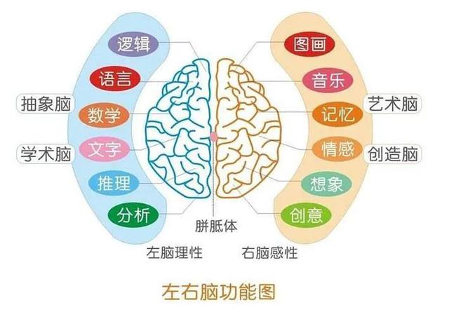 《世界十大学习方法》之思维导图