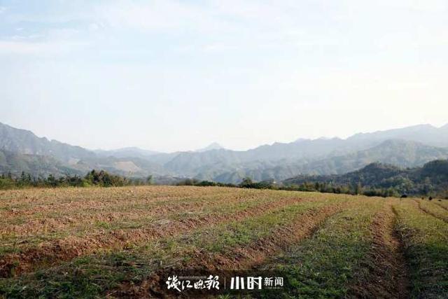 从海归到新农人，这个“80后”在建德高山上建起创业“根据地”