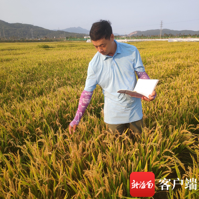 我和我的自贸港｜招商引资、服务人才、倾心科研…这些人让海南重点园区硕果累累