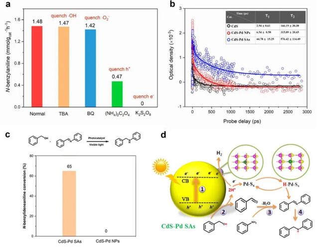 邹志刚院士团队ACS Catalysis: 高效可见光催化C-N偶联反应新思路