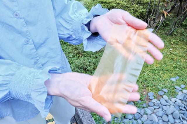 研究人员用向日葵花粉制造出可通过化学方法擦除并重写的纸张