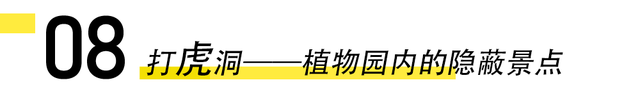 厦门15个与“虎”相关的冷知识