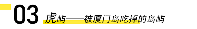 厦门15个与“虎”相关的冷知识