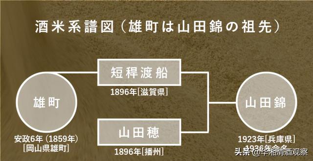 京都铭柄「玉乃光」——只选用100%原料的纯米酒藏