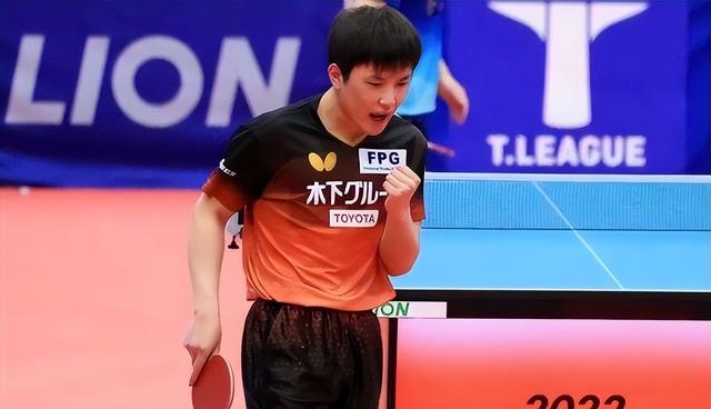 再见日本，张本智和无球可打！世界第5被抛弃，樊振东威胁解除