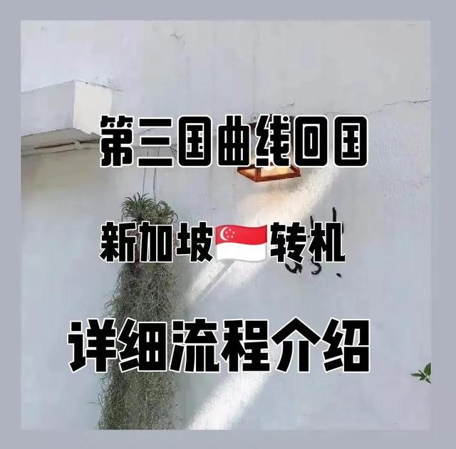 第三国经新加坡转机回国具体详细