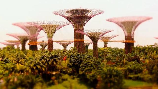 移轴摄影拍出的世界