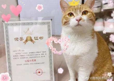 深圳“爱心宠物驿站”火了！广东多地疫情情况…