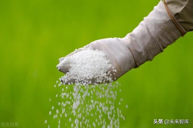 化肥行业研究报告：全球粮食价格上行，化肥行业景气度回升
