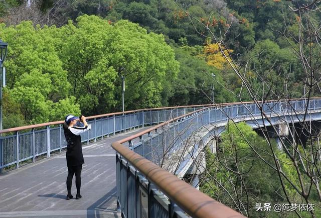 来福州走福道，全长19km的城市森林步道，就一个词：震撼