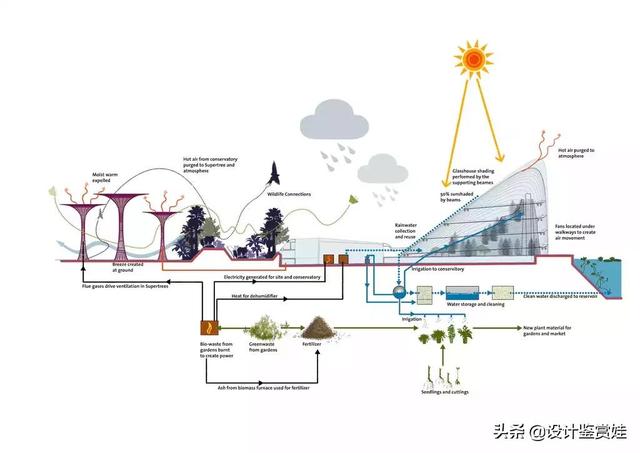#设计鉴赏#——新加坡海湾超级花园