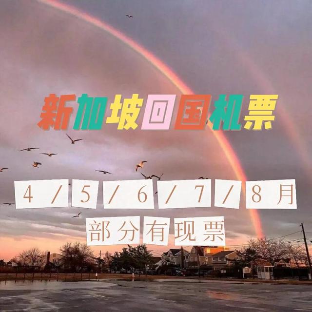 新加坡回国推荐航班！部分现位