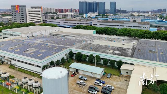 顺德这个产业钟南山曾来调研，如今占比不到1%，还能突围吗？