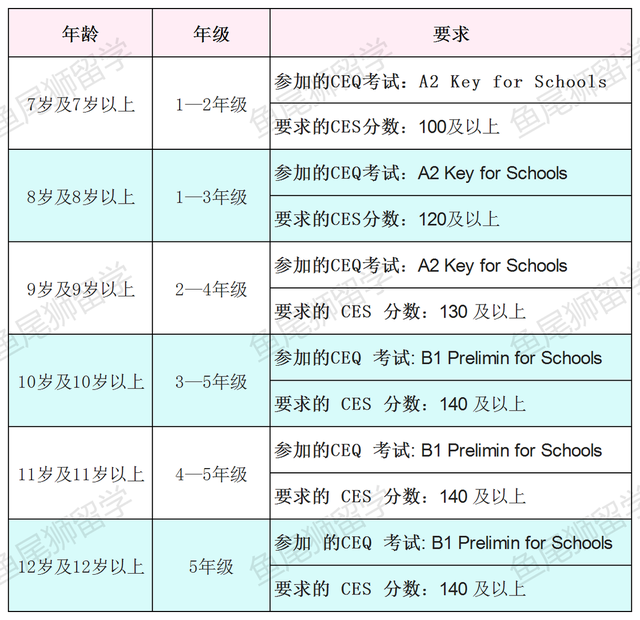 AEIS重大改革，新加坡小学取消英语考试，但是必须参加这个考试