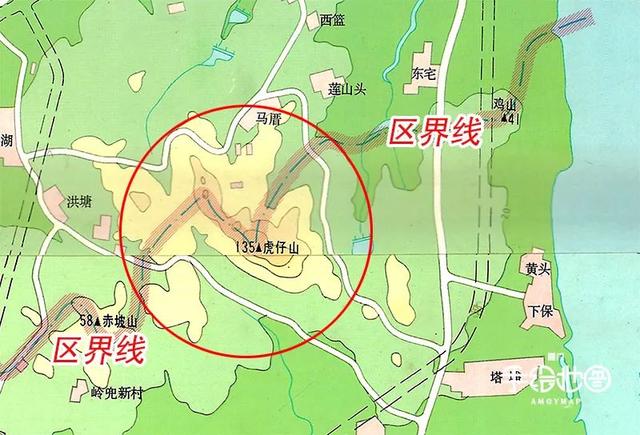 厦门15个与“虎”相关的冷知识