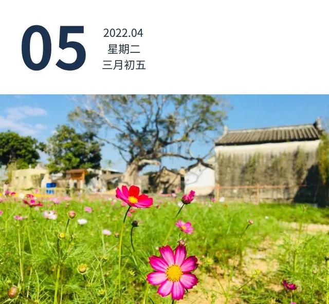 广州南沙、番禺最新通报 | 早安广东