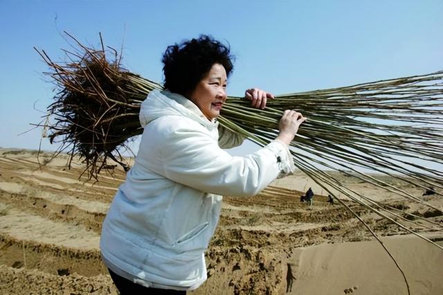 2000年，儿子在日本车祸去世，51岁母亲带所有资产回国种树