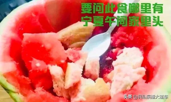 宁夏41大怪，大漠飞出铁鸟来 （下集）