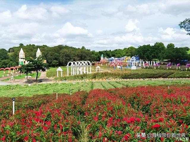 海岸线：全国最绿的城市东莞被称为世界工厂——世界因你而美