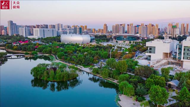 视频｜近600件作品汇聚菏泽“云展厅”，VR云赏牡丹