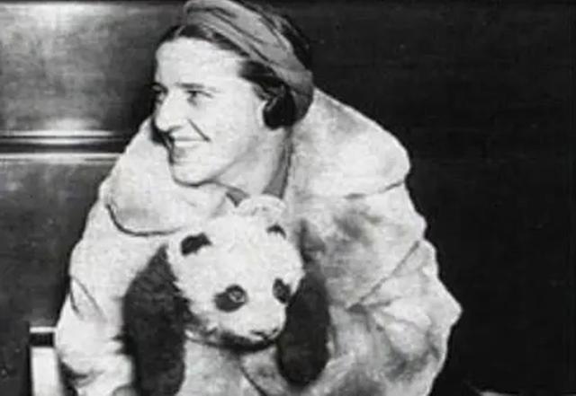 1936年，美国女子两次从中国偷走大熊猫，事后竟被称为“英雄”