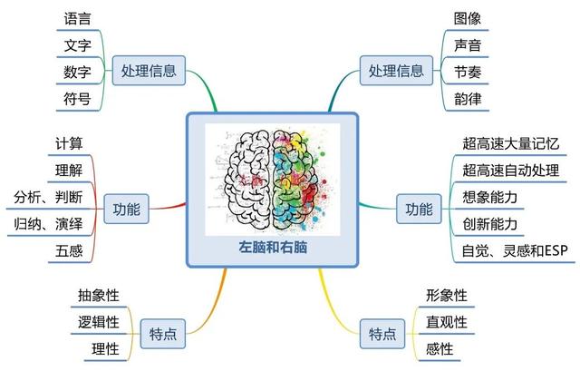 《世界十大学习方法》之思维导图