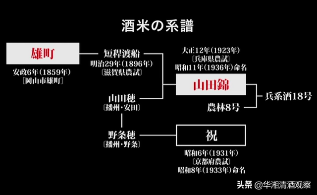 京都铭柄「玉乃光」——只选用100%原料的纯米酒藏